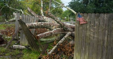 صور.. إعصار"دلتا" العنيف يقترب من ولاية لويزيانا الأمريكية ويقتلع الأشجار