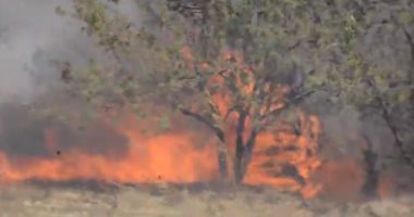 500 شخص يحاولون إطفاء الحرائق بجبل " كليمنجارو" التنزانى 