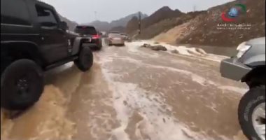 سقوط أمطار في أماكن متفرقة بدولة الإمارات × 5 فيديوهات