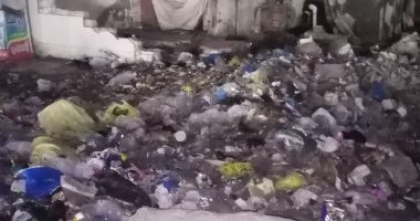شركة النظافة بالإسكندرية تستجيب لشكوى انتشار القمامة بشارع شط النخيل