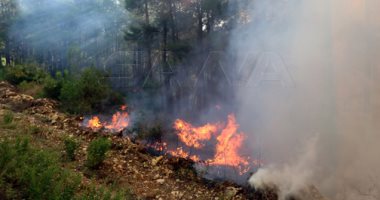 تضرر 4 آلاف أسرة و250 ألف شجرة احترقت بسبب الحرائق فى طرطوس السورية