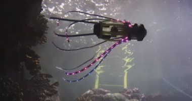 مهندسون يطورون روبوتًا يشبه الحبار لالتقاط صور للأسماك والمرجان