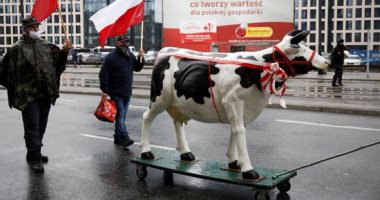 مزارعون بولندا يعطلون حركة المرور احتجاجا على قانون حماية الحيوان.. صور