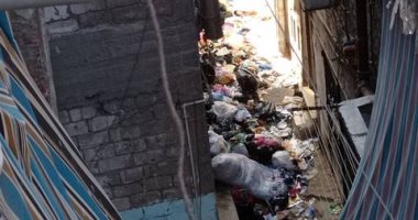 شركة النظافة تستجيب لشكوى قارئة من تراكم القمامة فى الإسكندرية