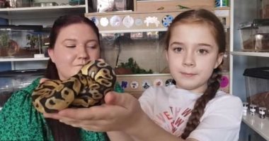 طفلة تهوى تربية الزواحف والحشرات فى منزلها بالمملكة المتحدة .. فيديو وصور