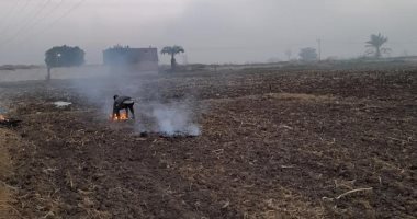 45 محضرا وغرامة فورية لحرق المخلفات الزراعية فى أسيوط .. صور