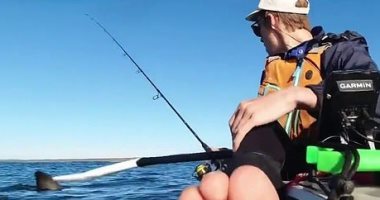 شاب يتفاجأ بسمكة قرش ضخمة خلال صيد الأسماك بأستراليا.. فيديو وصور
