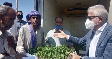 محافظ جنوب سيناء يوزع عدد من الشتلات المجانية على المزارعين بمدينة طور .. فيديو