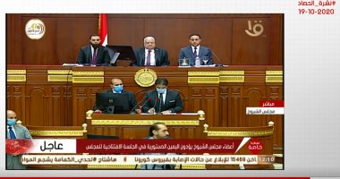 رسالة هامة للمصريين بالخارج حول انتخابات النواب..اعرفها من تليفزيون اليوم السابع