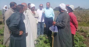 مديرية الزراعة بالشرقية تنفذ مدرسة حقلية عن محصول البنجر
