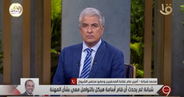 محمد شبانة لـ"وزير الإعلام": لماذا تصمت على قنوات الإعلام المعادى 