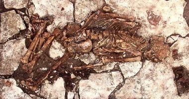 جراحة فاشلة منذ 5 آلاف عام.. جمجمة روسى تكشف سبب وفاته.. فيديو وصور