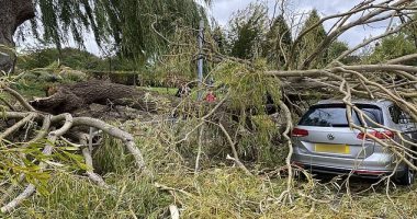 لحظة سقوط شجرة ضخمة على سيارة بسبب الرياح فى بريطانيا.. فيديو