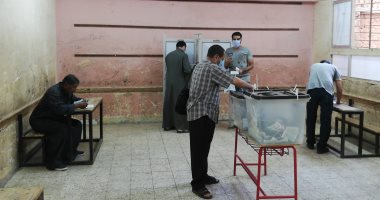 الخارجية تدعو المصريين بالخارج إلى طبع بطاقة الاقتراع لإعادة المرحلة الثانية من انتخابات النواب