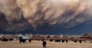 صور.. تجدد حرائق الغابات فى كولورادو الأمريكية والدخان يغطى السماء