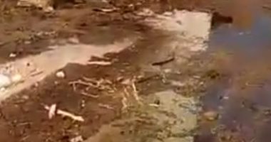 وحدة الروضة المحلية في المنيا تستجيب لشكوى من غرق مدرسة بمياه الصرف الصحى