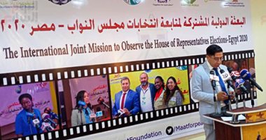 البعثة الدولية: 73 دولة أجلت الانتخابات.. ومصر أصرت على استكمال مسار الديمقراطية