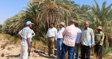 وفد من معهد بحوث الصحراء والفاو يتابع المشروعات الزراعية بالوادى الجديد