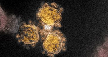 "الصحة العالمية": لم يتم معرفة أصل منشأ فيروس كورونا حتى الآن