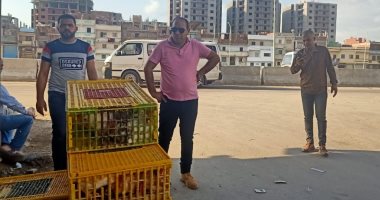 إزالة سوق الأحد بمنطقة خورشيد شرق الإسكندرية .. صور