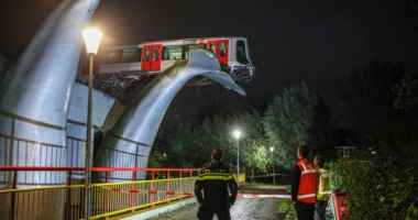 ذيل تمثال حوت ينقذ مترو أنفاق هولندا من حادث سقوط مروع "صور وفيديو"
