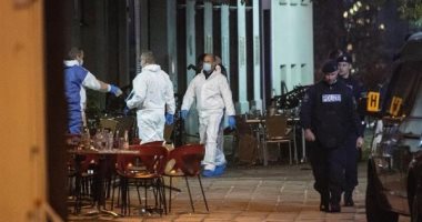 شرطة النمسا تقبض على رجل بمدينة لينتس عقب هجوم فيينا