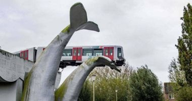 نجاة المئات من كارثة .. ذيل الحوت ينقذ قطار هولندا ..ألبوم صور