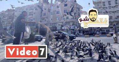 5 آلاف طائر تنتظر عم عبد الرحيم أمام محله يوميا فى موعد محدد.. فيديو