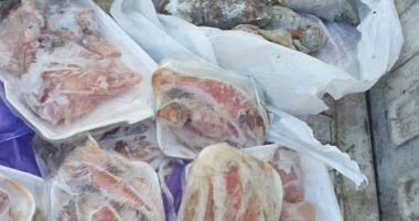 ضبط أسماك ولحوم غير صالحة للاستهلاك وتحرير 12 محضر نقص وزن خبز فى دمياط