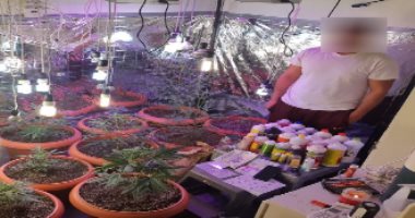 ضبط صوبات لزراعة الماريجوانا داخل منزل مواطن بالبحر الأحمر