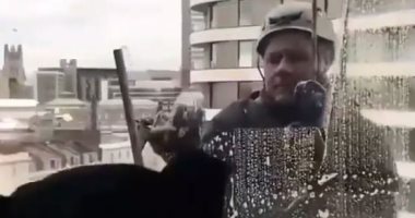 عامل تنظيف ناطحات سحاب يلاعب قطة بطريقة طريفة .. فيديو
