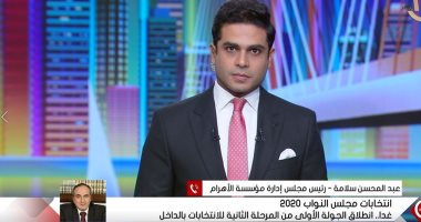 عبد المحسن سلامة: المرحلة الثانية لانتخابات مجلس النواب ستشهد إقبالا كبيرا  