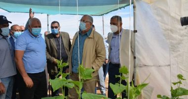 وزيرا الزراعة والرى يتفقدان مشروع الصوب الزراعية بقرية أسمنت بمركز الداخلة