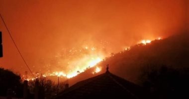 صور.. النيران تلتهم الأشجار فى غابات بالجزائر وفرار المئات من منازلهم