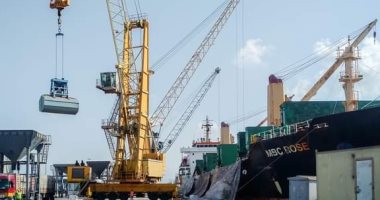 استخدام أوناش شحن وتفريغ صديقة للبيئة بميناء دمياط لأول مرة بالموانئ المصرية