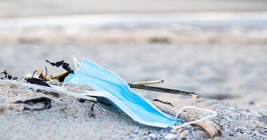 تطوير أسماك روبوتية صغيرة تلتقط جزيئات البلاستيك لتنظيف المحيطات