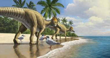 اكتشاف ديناصور بمنقار بط عمره 66 مليون سنة فى المغرب .. صور