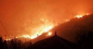 النيران تجتاح غابات الجزائر ومصرع شخصين وإصابة العشرات بالاختناق.. فيديو وصور