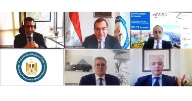 ماذا قال رؤساء شركات البترول العالمية عن الشراكة مع قطاع البترول في مصر؟ 