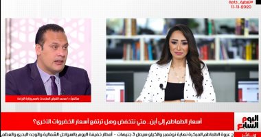 أسباب ارتفاع سعر الطماطم فى تغطية خاصة لتليفزيون اليوم السابع.. فيديو