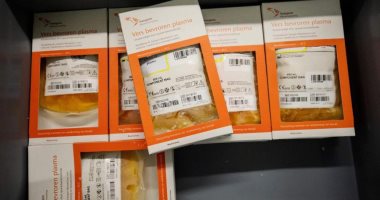 هولندا تنتج دواء لعلاج فيروس كورونا مشتق من بلازما الدم للمتعافين