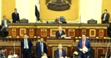 أمين مجلس النواب: دعوة عقيلة صالح تعكس حرص مصر على وحدة الدولة الليبية