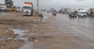 أمطار غزيرة بالطريق الصحراوى غرب الإسكندرية .. فيديو وصور