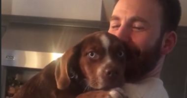 كريس إيفانز يستقبل كلبه الجديد "مايلو" بعد فضيحة صوره العارية.. فيديو وصور