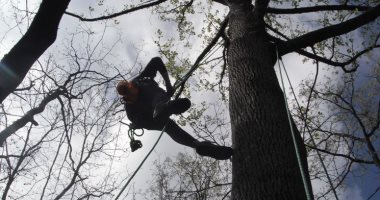 طالب "فوق الشجرة".. روسى يطالب بإصلاح الإنترنت لمتابعة الدراسة عن بعد.. فيديو