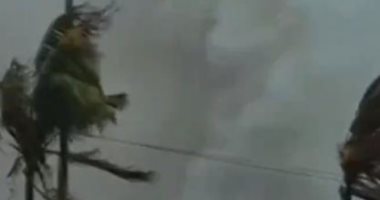الإعصار نيفار يقتلع الأشجار وخطوط الكهرباء فى الهند