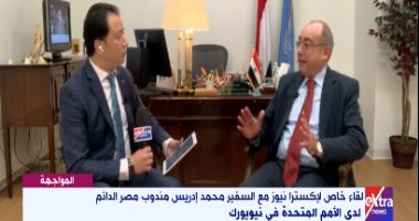 مندوب مصر الدائم لدى الأمم المتحدة: مصر منخرطة فى القضية الفلسطينية منذ بدايتها