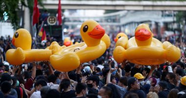 البطوط الأصفر  صديق المتظاهرين فى تايلاند.. ألبوم صور