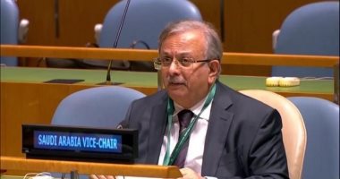 السعودية نيوز | 
                                            مندوب السعودية الدائم بالأمم المتحدة يلتقى نظيره الجنوب إفريقى بنيويورك
                                        