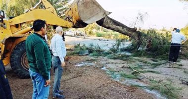 إزالة الأشجار المتساقطة على طريق السعدى-صان الحجر بالشرقية بسبب الطقس السيئ